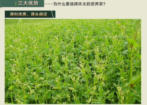 产品属性