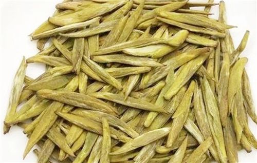 海阳10年培育茶树新品种 茶产业助力乡村振兴