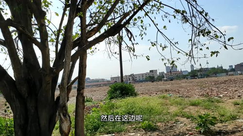 30万投资差不多了吧这种厂 牛逼哥 毛都造不了