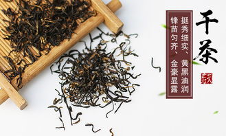 世界三大高香红茶之首 ,天之红邀您共品佳茗