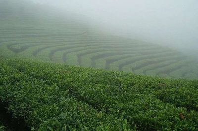 佳逸茶具