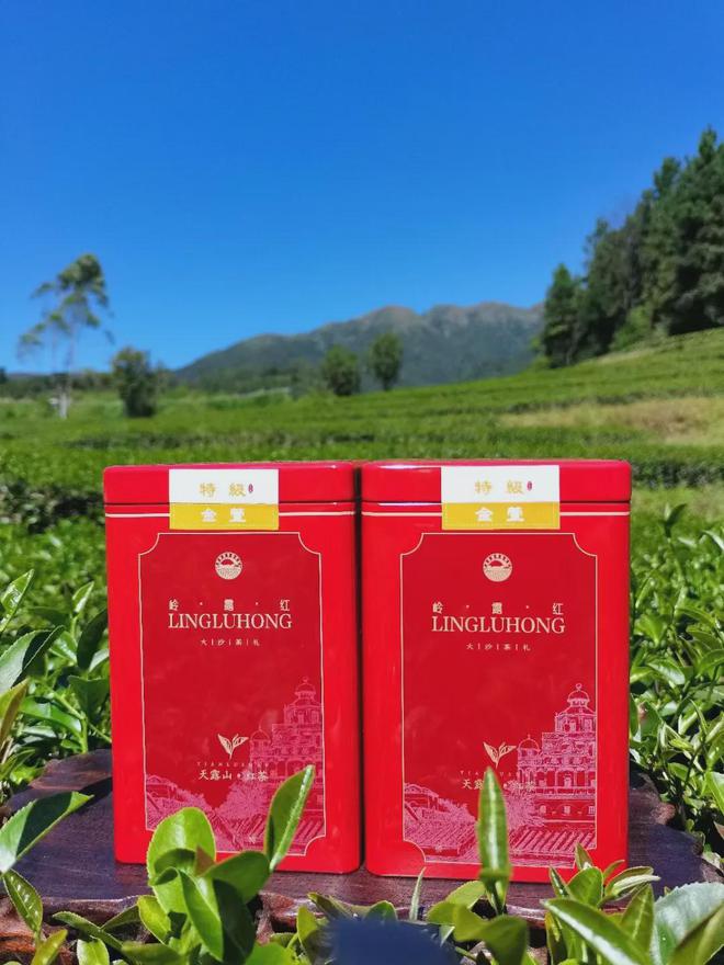 新农人电商培训,为乡村振兴增添新活力!