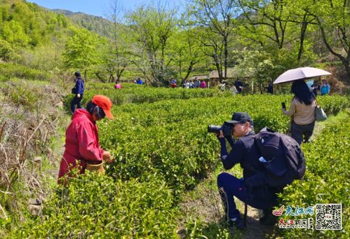 鄱阳县 春暖花开 出游正当时