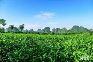 英德,你变了