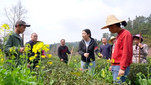 新华社 走近武夷山科技特派员 把论文写在田野大地上