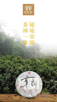 彩农茶秘境章朗,茶禅一味