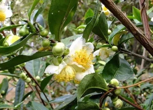 hi,2018 还木有节目 戳进来 一串活动清单向你袭来