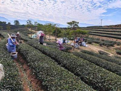 惠报深度丨惠州高端种植业如何走好上坡路?