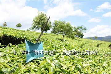茶叶耐不耐泡和什么有关,茶叶耐不耐泡