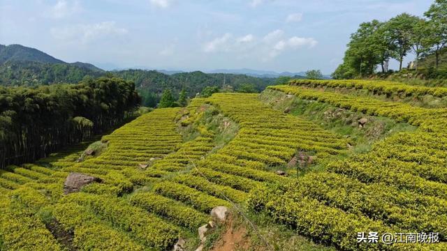 “会”种地到“慧”种地 鱼米之乡无锡展好“丰”景