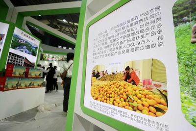 【粤桂协作】广西优质农产品集中在广东展示和交易