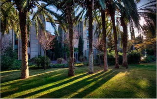 废弃水泥厂的重生 西班牙建筑师巧手改造为茶树种植园