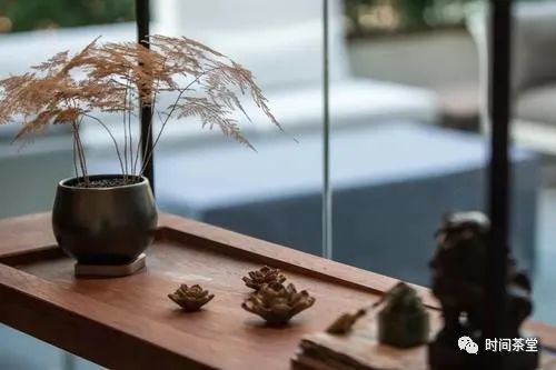 大红袍茶树种植常见问题解析