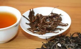 谁说大广州没特产?茶树种植告诉你答案!